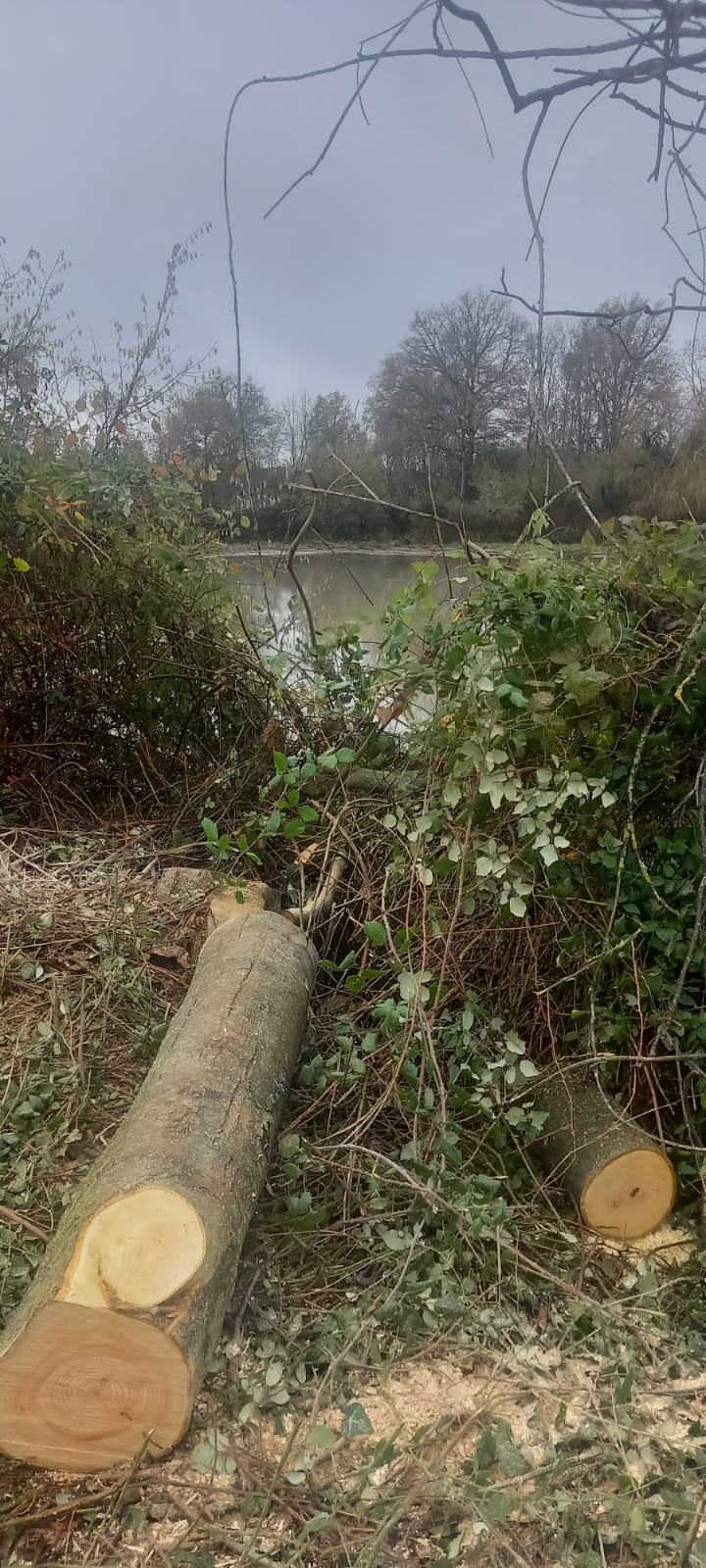 WhatsApp Image 2025-12-08 at 08.45.58